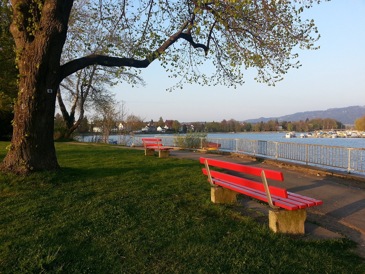 争夺战中拔 争夺战中拔