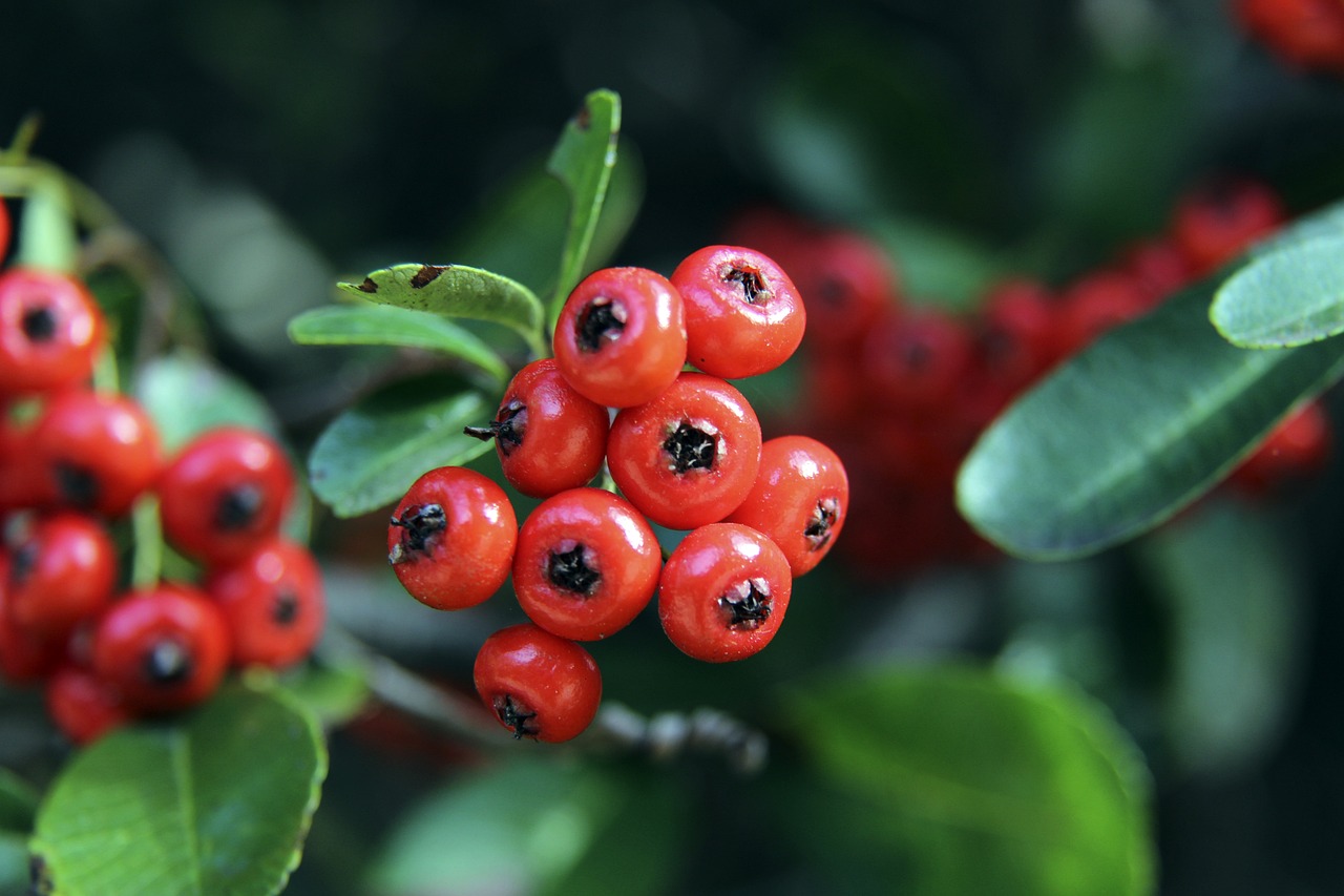 状态一般 状态一般