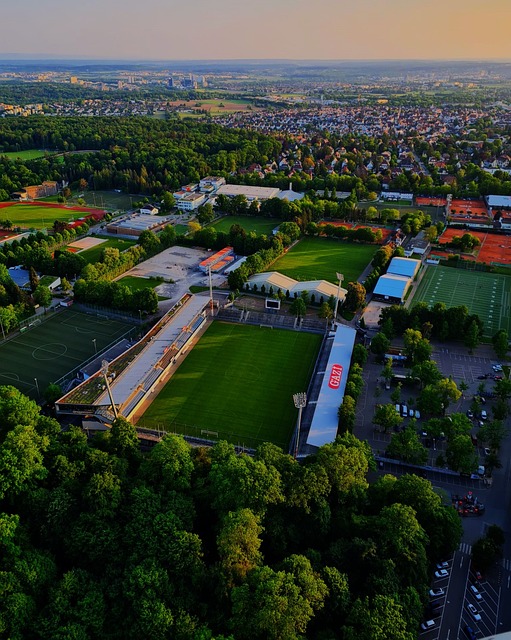 定成为观众 定成为观众