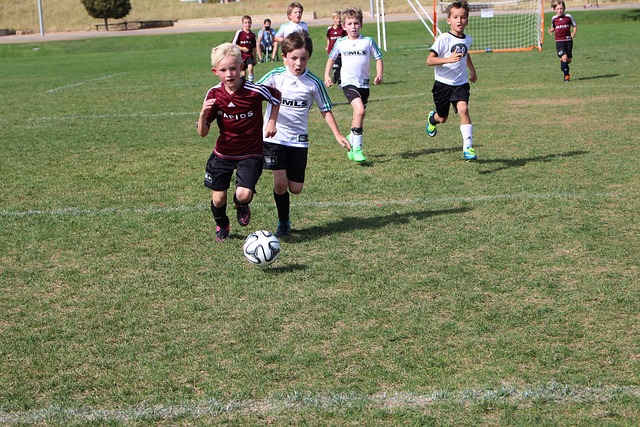 生活与职业 生活与职业